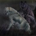 Werewolf_Annals_by_Rayndancer