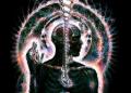 Lateralus___Decay_by_tool_band222