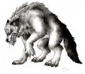 dog-werewolf_thumb