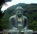 Daibutsu-Buddha