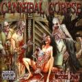 cannibal_corpse_-_the_wretched_spawn_a