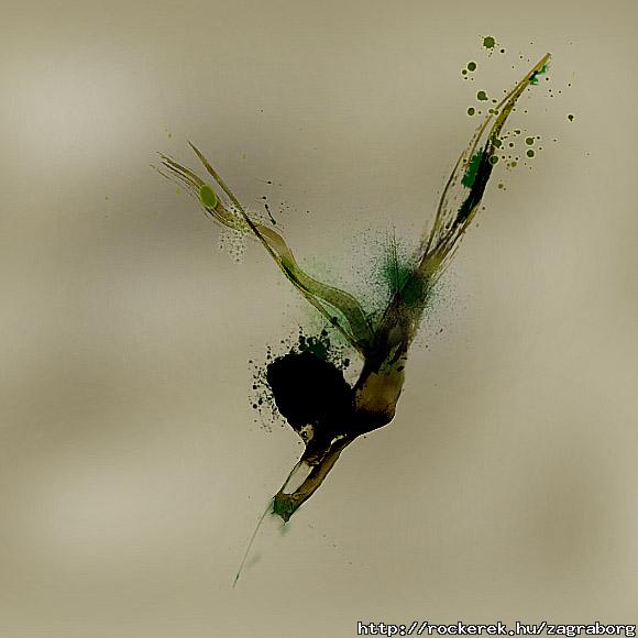 fly