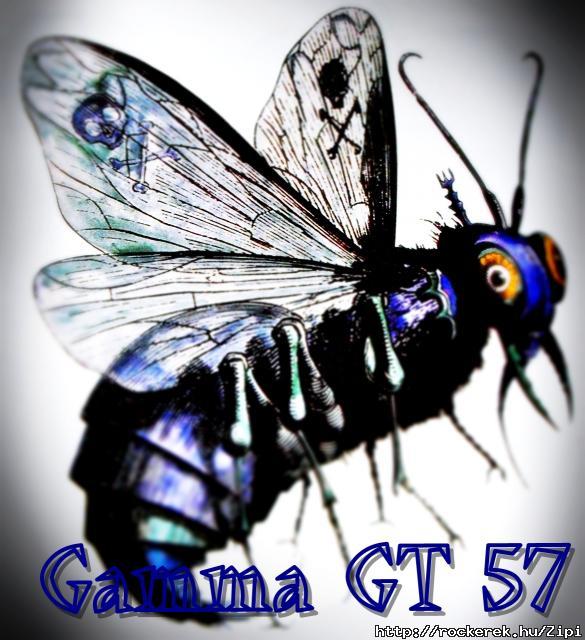 Gamma 