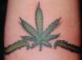 Cannabis az let!