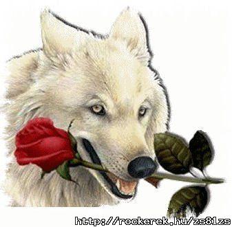 wolf&rose