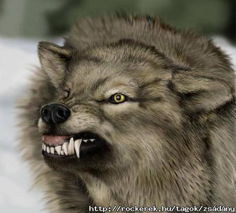 angry_wolf