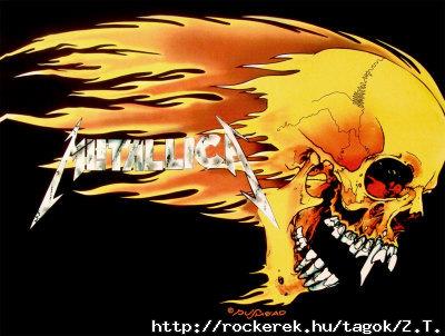 51311~Metallica-Skull-and-Flames-Posters