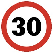 30Y logo