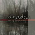 Amadea - Grey of the morning