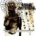 Anaal Nathrakh - When Fire Rains Down From The Sky,Mankind Will Reap As It Has Sown(EP)