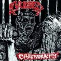 Avulsed - Carnivoracity single