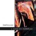 Beehoover - A Mirror Is A Window