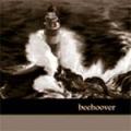 Beehoover - Demo 