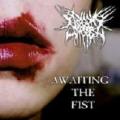 Begging For Inces - Awaiting The Fist EP