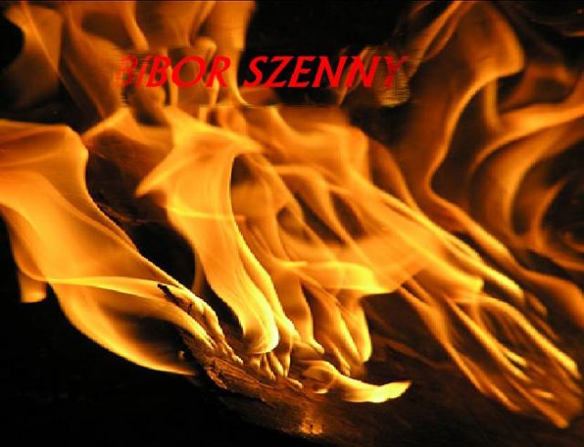 Bbor Szenny logo