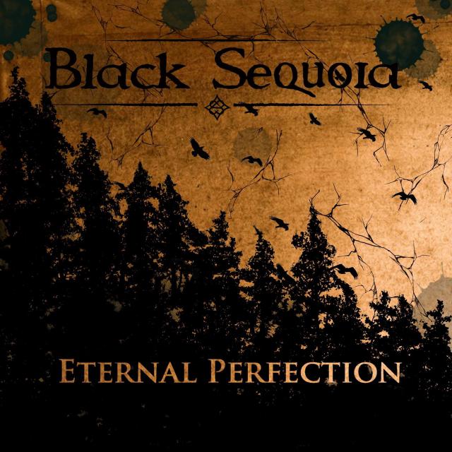Black Sequoia logo