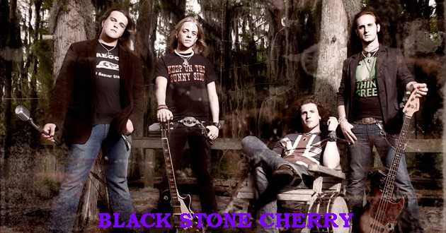 Black Stone Cherry logo