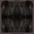 Blood of the Black Owl - Celestiial / Blood of the Black Owl