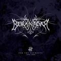 Borknagar - For The Elements (1996-2006) (Best Of)
