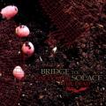 Bridge to Solace - Kingdom Of The Dead (EP)