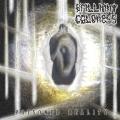 Brilliant Coldness - Poisoned Reality