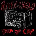 Buckethead - From the Coop