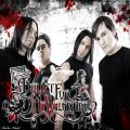 Bullet for my valentine+