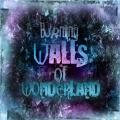 Burning Walls of Wonderland - -