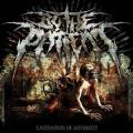 By the Patient - Catenation of Adversity (EP)