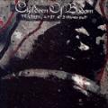 Children of a Bodom - Trashed, Lost & Strungout