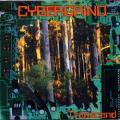 Cybergrind - Transcend