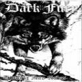 Dark Fury - Turning into Ashes