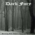 Dark Fury - Turning into Ashes/Krwawy Sztandar