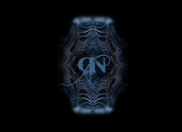 Dark Night`s logo