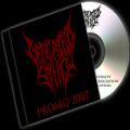 Defeated Sanity - Promo 2007 (demo)