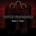 Devil`s Whorehouse - Blood & Ashes