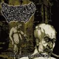 Digested Flesh - The Answer to Infection