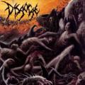 Disgorge (Usa) - Parallels Of Infinite Torture