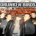 Drunken birds