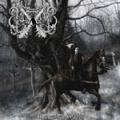Elffor - Unblessed Woods ( Re - Released )