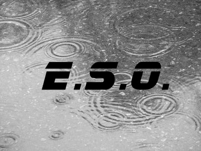 E.S.O. logo