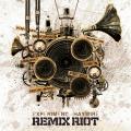 Experiment Haywire - Remix Riot
