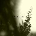 Falloch - Beyond Embers & the Earth (Single)