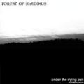 Forest of Shadows - <font color="#FFFFFF">Under the Dying Sun (Promo) (demo)