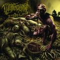 Guttural Engorgement - The Slow Decay Of Infested