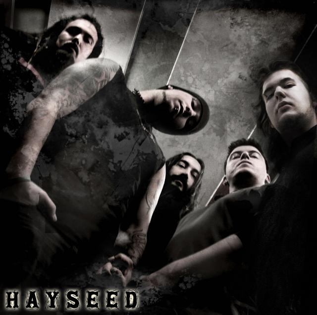 2791.hayseed.band.jpg