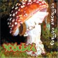Incubus zenekar - Fungus Amongus 