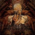 Infected Disarray - Disseminating Obscenity