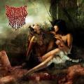 Insidious Torture - Lust and Decay (EP)
