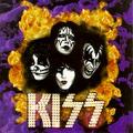 Kiss - YOU WANTED THE BEST, YOU GOT THE BEST